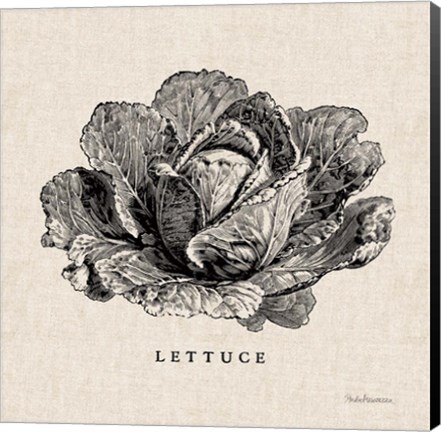 Framed Burlap Vegetable BW Sketch Lettuce Print