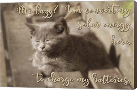 Framed Me Lazy Print