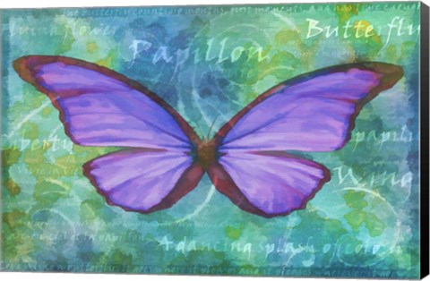 Framed Purple Buterfly Print