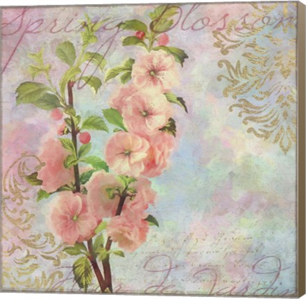 Framed Blossom Print