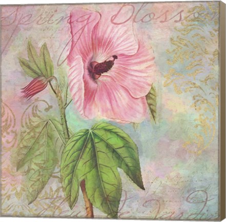 Framed Hollyhock Print