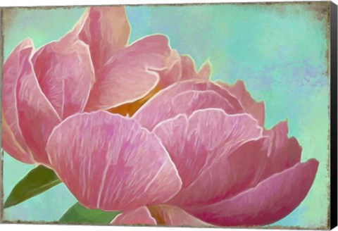 Framed Pink Peony Print