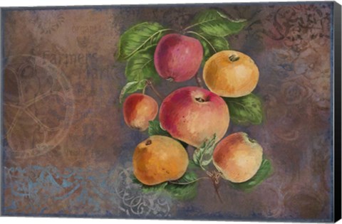 Framed Apples - Fruit Series Print