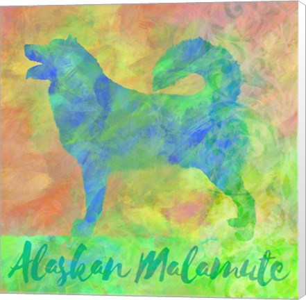 Framed Alaskan Malamute Print