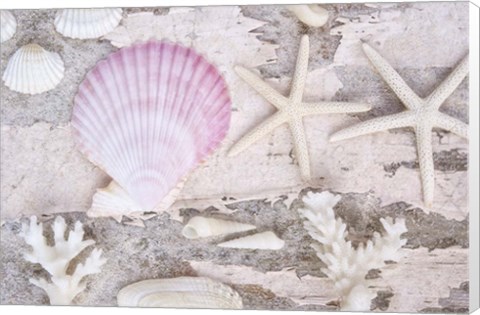 Framed Beach Treasures IV Print