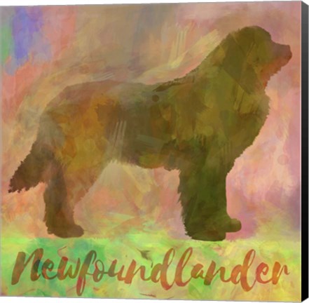 Framed Newfoundlander Dog Print