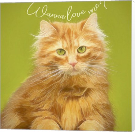 Framed Wanna Love Me Cat Print