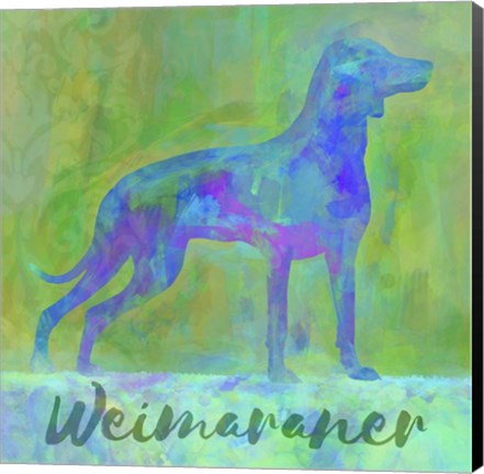 Framed Weimaraner Dog Print