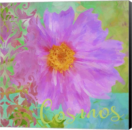 Framed Colors Of Flowers I - Cosmos Print