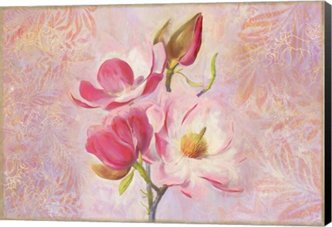 Framed Magnolia Ii Print