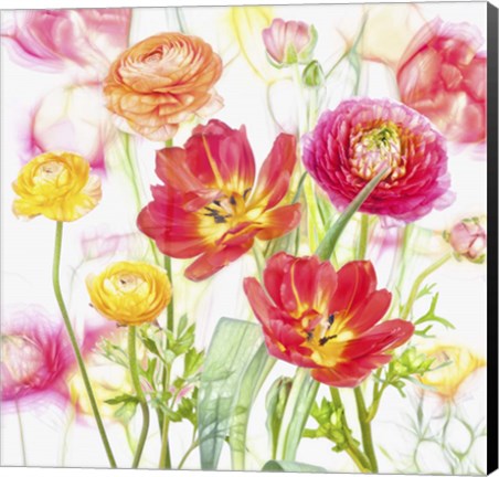 Framed Spring Flowers Print