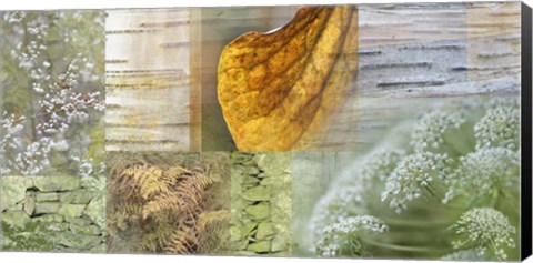 Framed White Woodland Collage Print