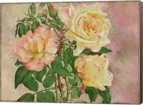 Framed Yellow Roses Print