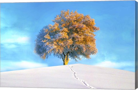 Framed Last Show Print