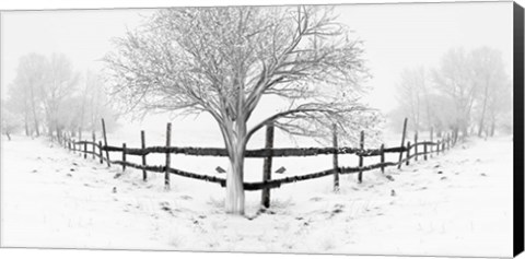 Framed Snowy Landscape Print