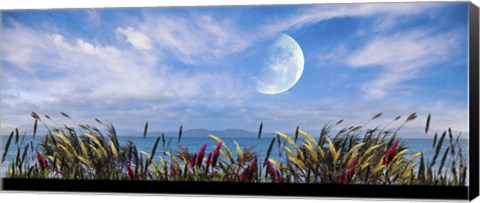 Framed Blowing in the Wind Print