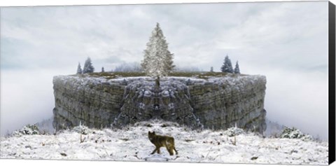 Framed Lone Wolf Print