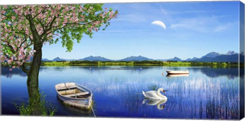 Framed Swan Lake Print