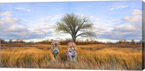 Framed Wild Cats Print