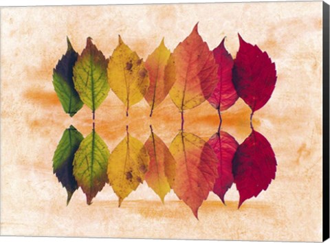 Framed Color Of Autumn Print