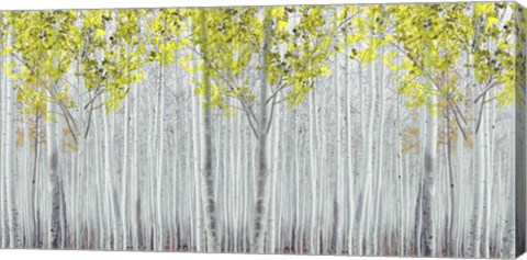 Framed White Forest Print