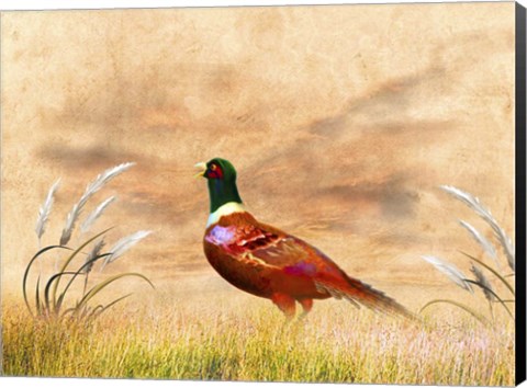 Framed Red Bird Print