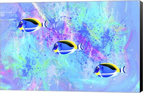 Framed Fish Trio Print