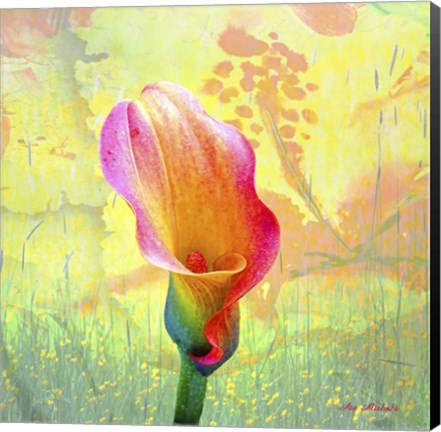 Framed Calla Lily Print