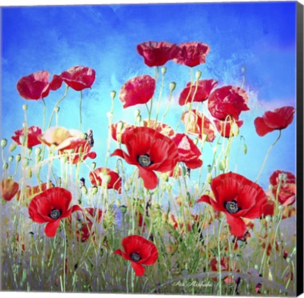 Framed Poppy Flowers Field Print