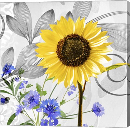 Framed Sunflower Print