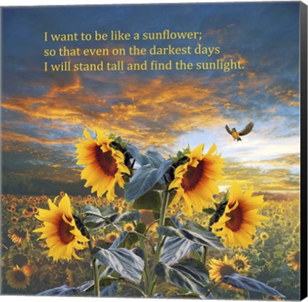 Framed I Want to be a Sunflower Print