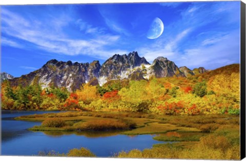 Framed Beauty Of Nature Print