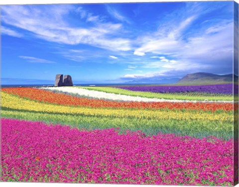 Framed Colorful Landscape Print