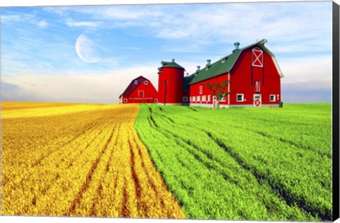 Framed Red Barn Print