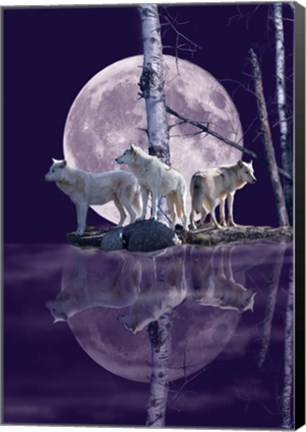 Framed Moonset Point Print