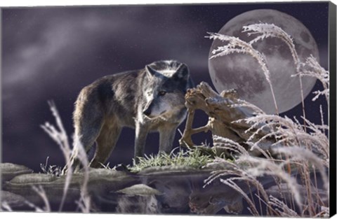 Framed First Frost Print