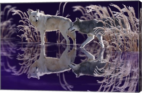 Framed Edge of Winter Print