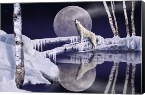 Framed Open Water Print