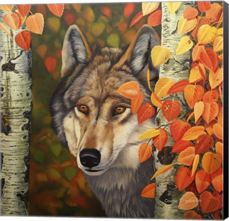 Framed Colours Of The Wolf Print