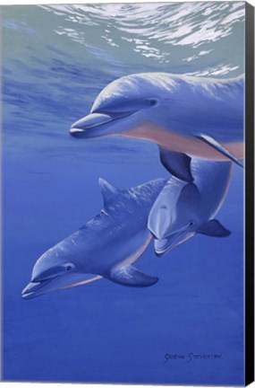 Framed Dolphin Smile Print
