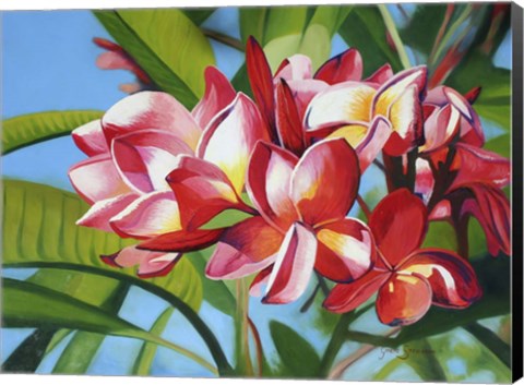 Framed Frangipani Days Print