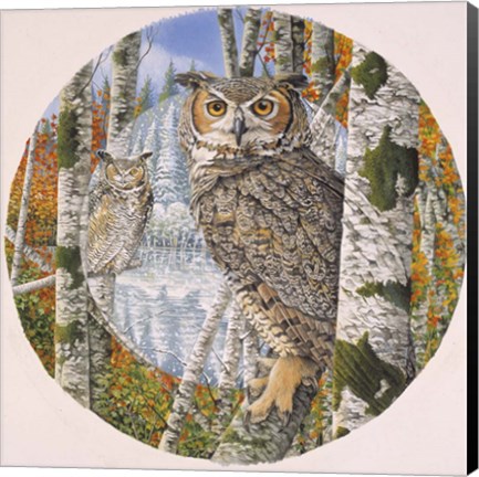 Framed Great Horned Camoflage Print