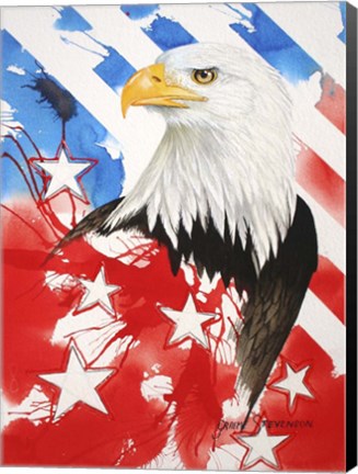 Framed Liberty 2 Print