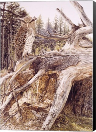 Framed Midnite Prince Print