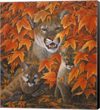 Framed Mountain Colors Print