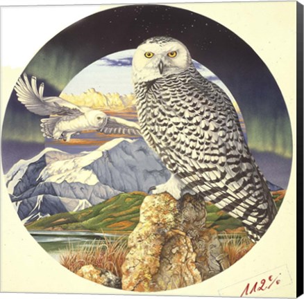 Framed Northern Lights Print