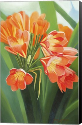 Framed Orange Flower 2 Print