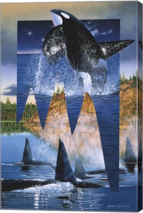 Framed Orca Reflections Print