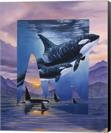 Framed Orca Song Print