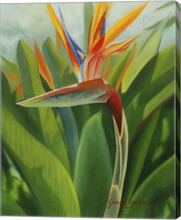 Framed Paradise 2 Print